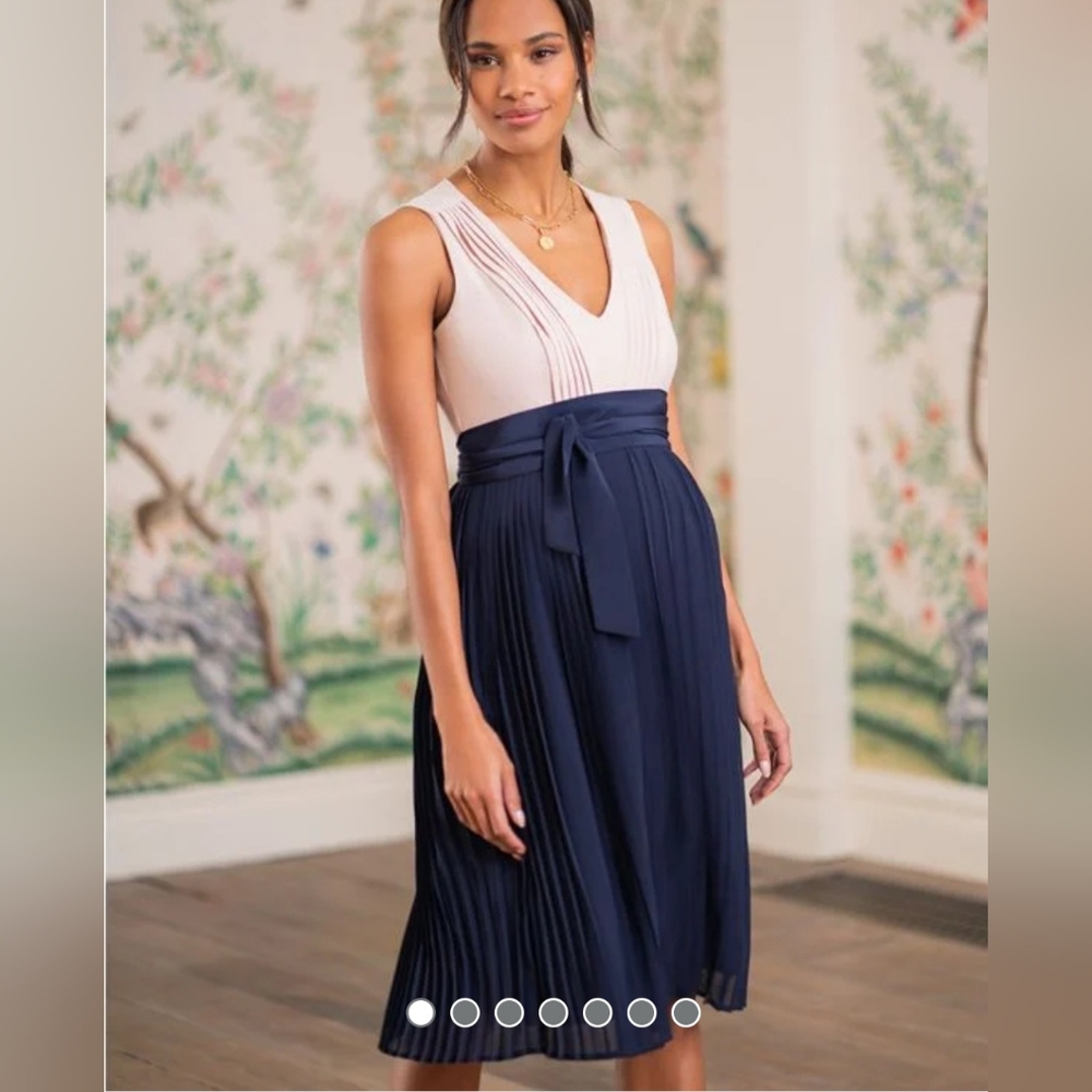 NWOT Seraphine nursing maternity dress